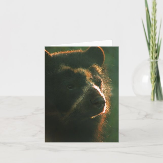 Carte pour notes PB2 de Bubu (Devant)