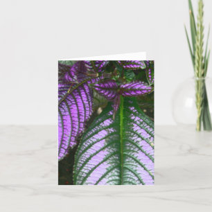 carte pour notes/PLANTE/PURPLE ET VERT/PERSIAN SHI