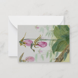 Carte pour notes plat rose Lady Slipper