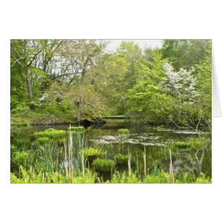 Carte pour notes Pond