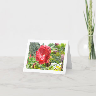 carte pour notes "RED HIBISCUS" (PHOTO)