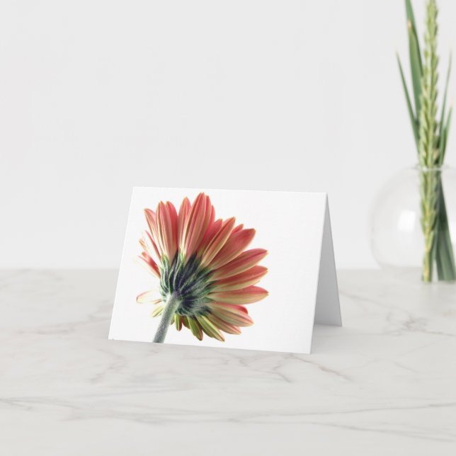 Carte pour notes rose de marguerite de Gerbera (Devant)