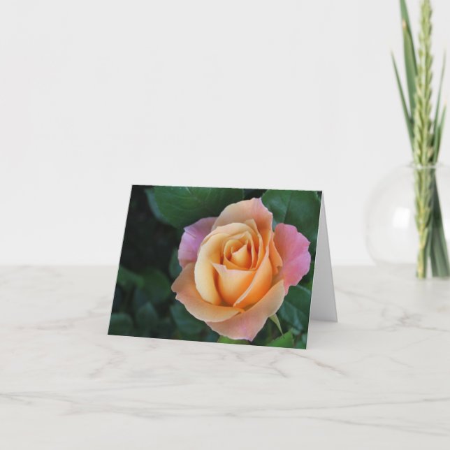 Carte pour notes rose de pêche (Devant)