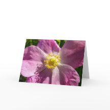 Carte pour notes Rose sauvage