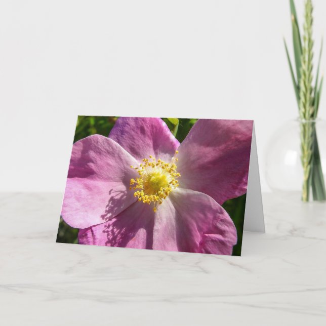 Carte pour notes Rose sauvage (Devant)