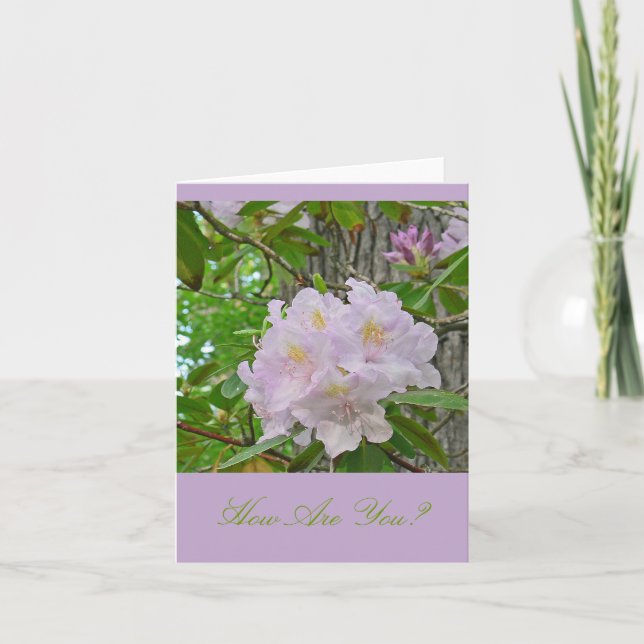CARTE POUR NOTES, "SOFT PALE LAVENDER RHODODENDRON (Devant)