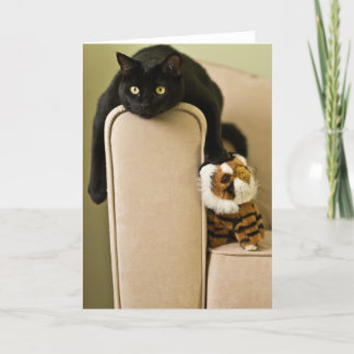 Carte pour notes succédané de chats