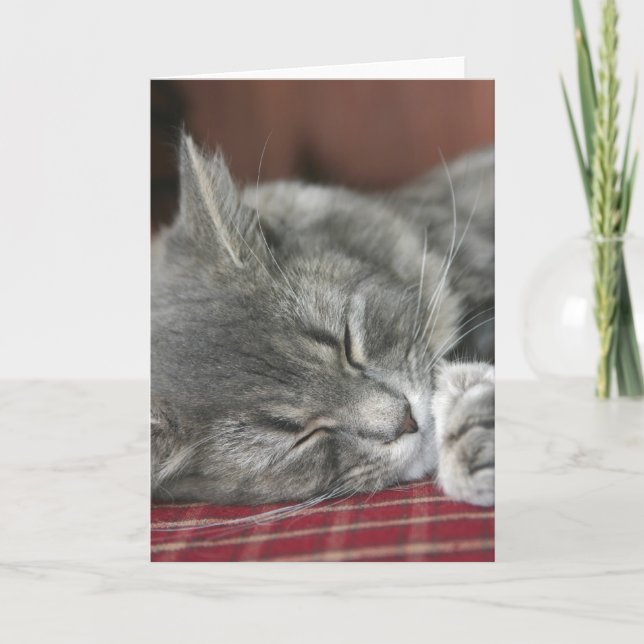 Carte pour notes Tabby Cat (Devant)