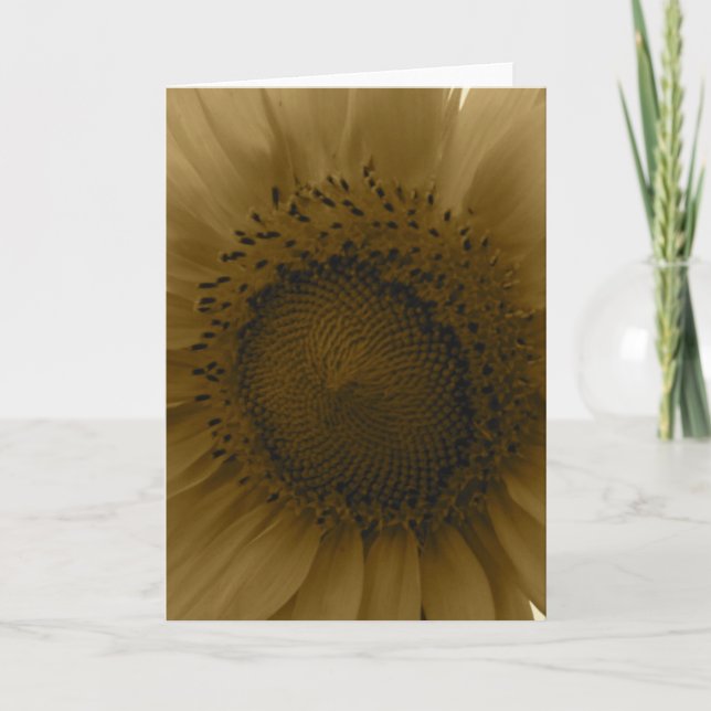 Carte pour notes tournesol (Devant)