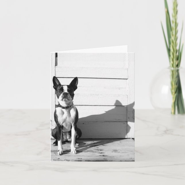 carte pour notes vide de chien (Devant)