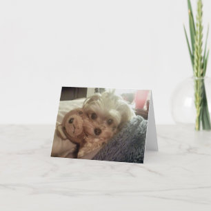 Carte pour notes vide de Furiends Furever de