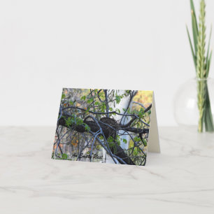 Carte pour notes vide de nid