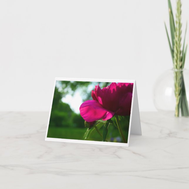 Carte pour notes vide de pivoine (Devant)