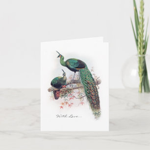 Carte pour notes vintage de paon