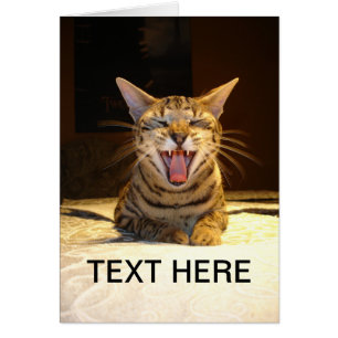 Carte pour toute occasion