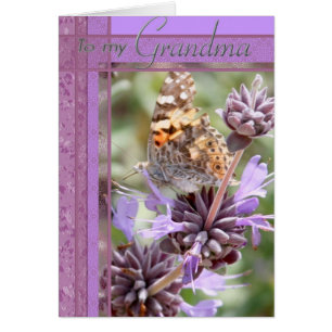 Carte pourpre de couleur avec Butterly pour la
