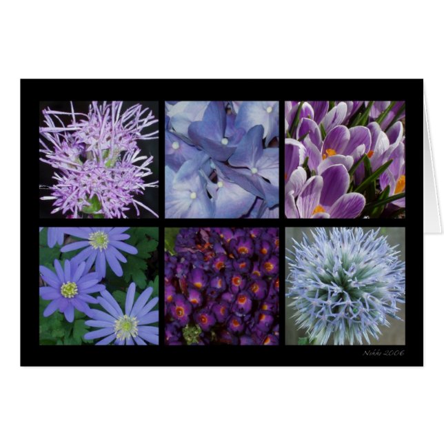 Carte pourpre de fleur (Devant horizontal)