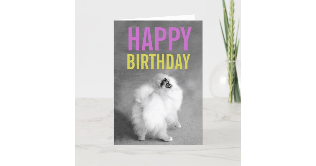 Carte Pourpre Et Verte De Joyeux Anniversaire De Zazzle Ca