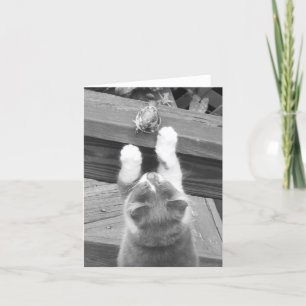 Carte Pouvons-nous être AMIS ?