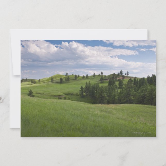 Carte Pré à Custer State Park (Devant)