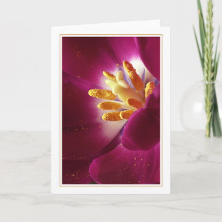 Carte Premier de la vie