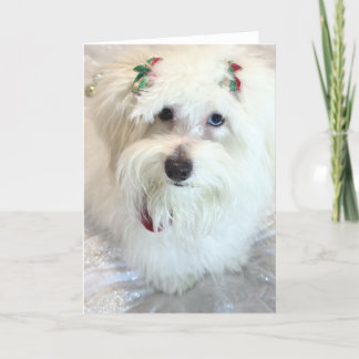 Carte Premier Noël