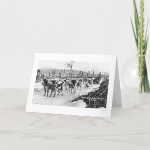 Carte Première équipe Alaska 1910 de chien