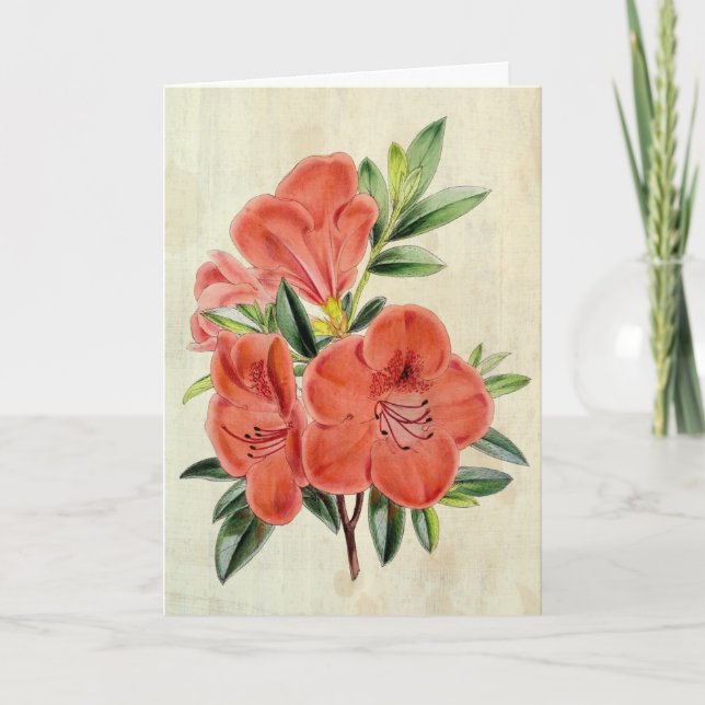 Carte Président botanique vintage Azalea (Devant)