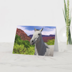 Carte Pretty Little Grey Pony avec de grands yeux - Blon