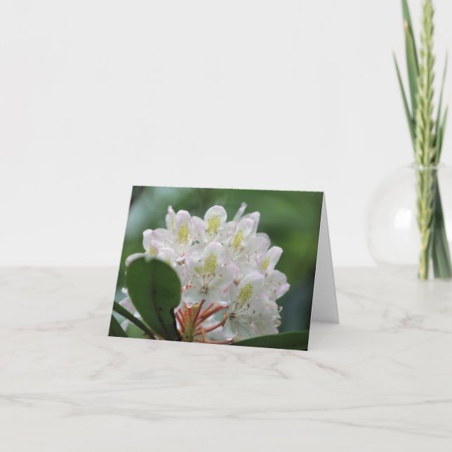 Carte Pretty White Azalea Flower Photography Note (Devant)