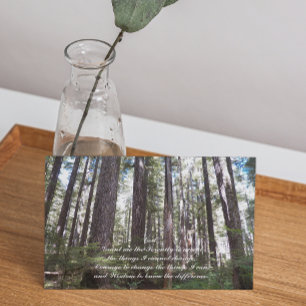 Carte Prière de sérénité Forêt éclairée de soleil Photo 