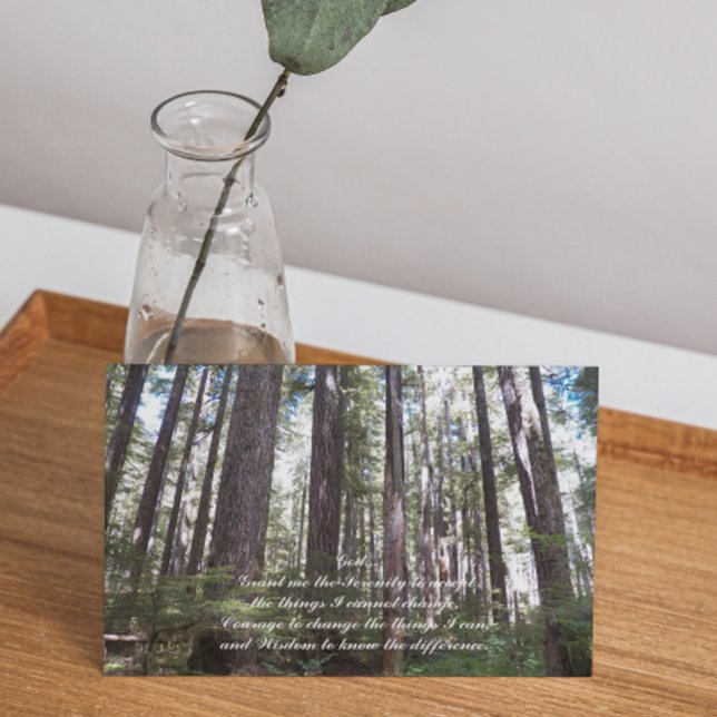 Carte Prière de sérénité Forêt éclairée de soleil Photo  (Créateur téléchargé)