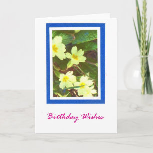 Carte Primroses Birthday Card