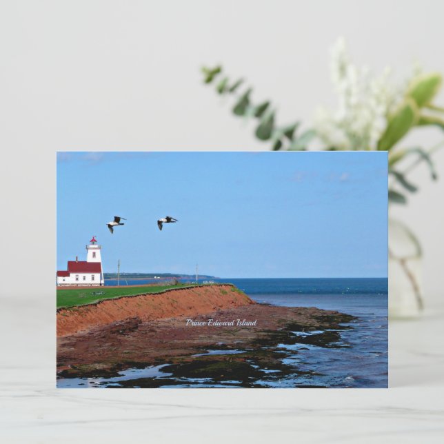 Carte Prince Edward Island Lighthouse (Debout devant)