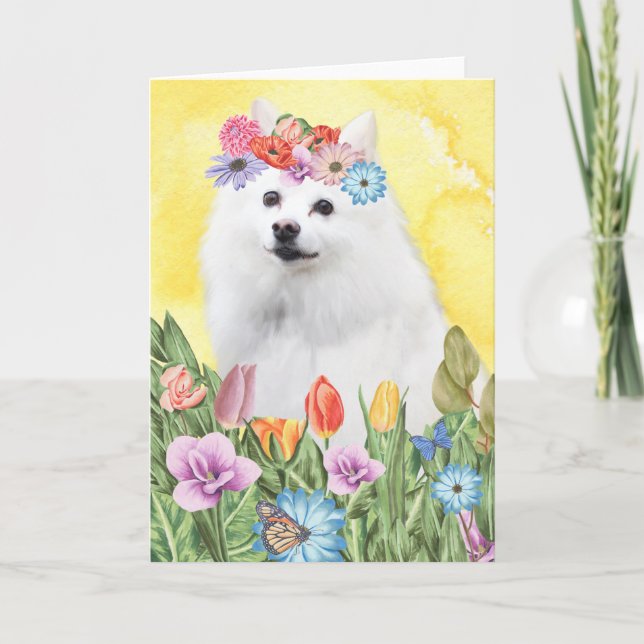 Carte Printemps américain des fleurs d'esquimau (Devant)