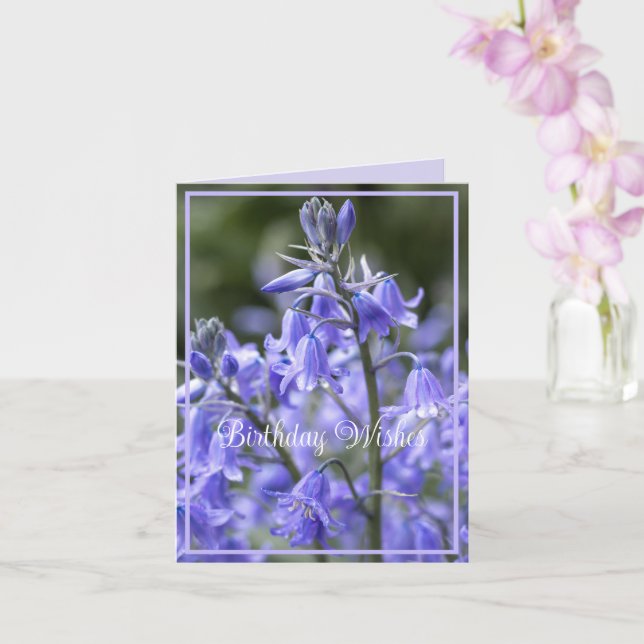 Carte Printemps Bluebells après la pluie Anniversaire (Orchidée)