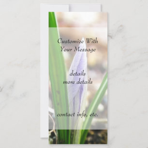 Carte Printemps ! Crocus Bud