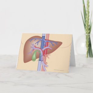 Carte Procédure de greffe de foie