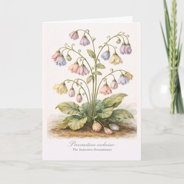 Carte Procrastina indecisa The Indecisive Procrastinator (Devant)