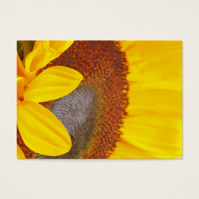 Carte profil de tournesol de macro (Devant)