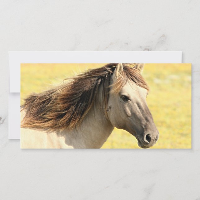 Carte Profil du cheval beige (Devant)