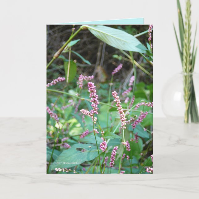 Carte Profusion de roses (Devant)