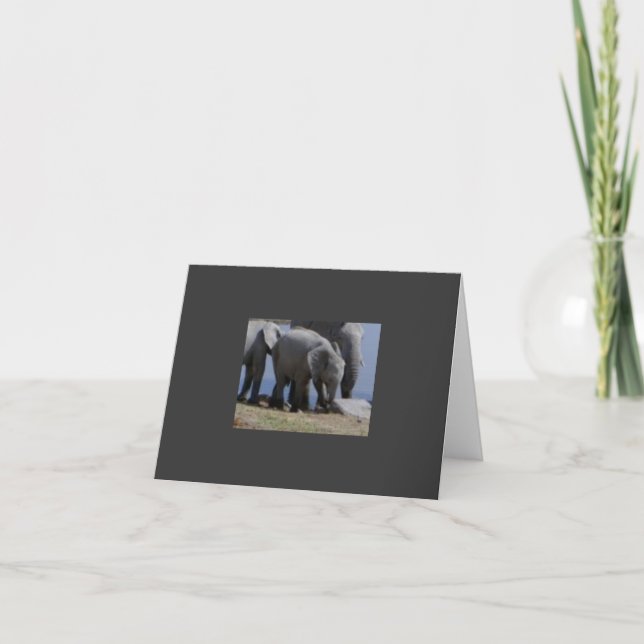 Carte Promenade des éléphants de bébé (Devant)
