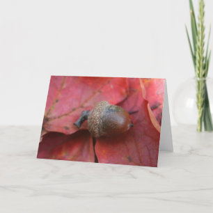 CARTE PROMESSE AUTUMNS