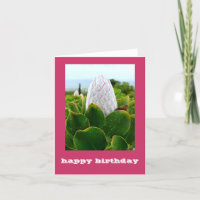 CARTE "PROTEA : JEUX ANNIVERSAIRE"