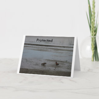 Carte Protégé