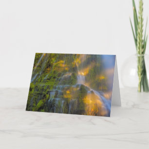 Carte Proxy Falls Three Sisters Wilderness Oregon