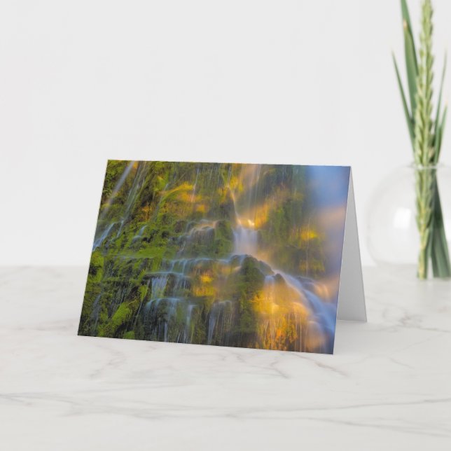 Carte Proxy Falls Three Sisters Wilderness Oregon (Devant)