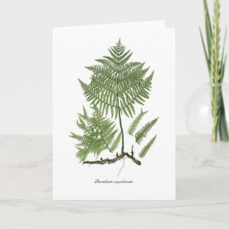 Carte Pteridium aquilinum