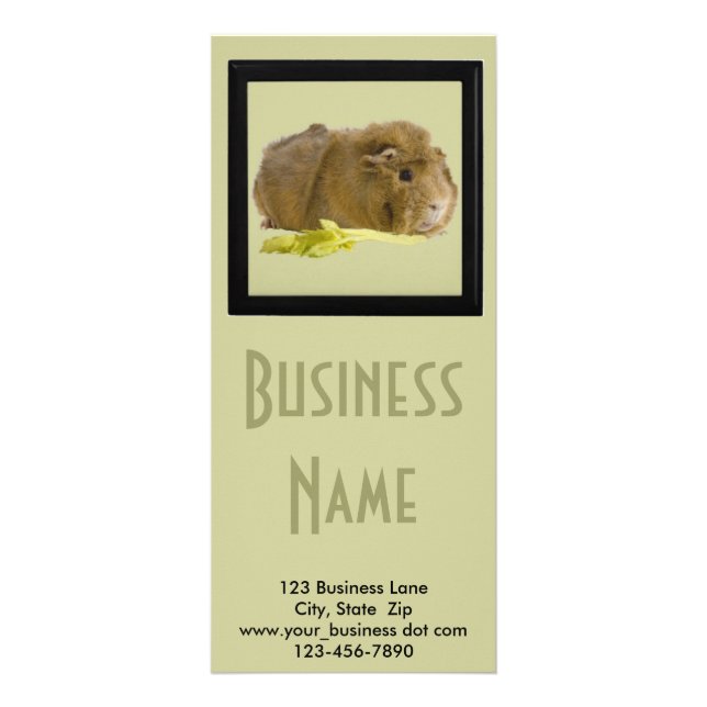 Carte Publicitaire Adorable Gingembre Guinée Pig Photo Pet Care Busin (Devant)